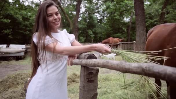 농장에 여자가 가축을 돌보고 건초를 먹이고 — 비디오