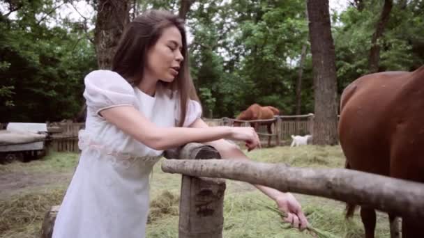 Frau Auf Dem Hof Kümmert Sich Das Pferd Füttert Mit — Stockvideo