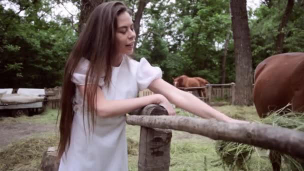 Vrouw Lokt Het Paard Met Gras Wil Hem Aaien — Stockvideo