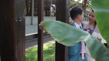 Gelin ve damat düğünde sarılıyor. Aşk için balayı yapıyorlar. Yeni evliler parkta yürüyor..