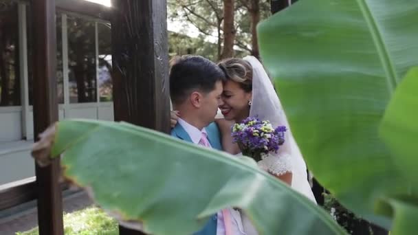 Bride Groom Hug Wedding Have Honeymoon Love Newlyweds Walking Park — Stock Video