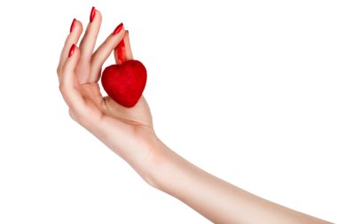 Female hand holding a heart. clipart
