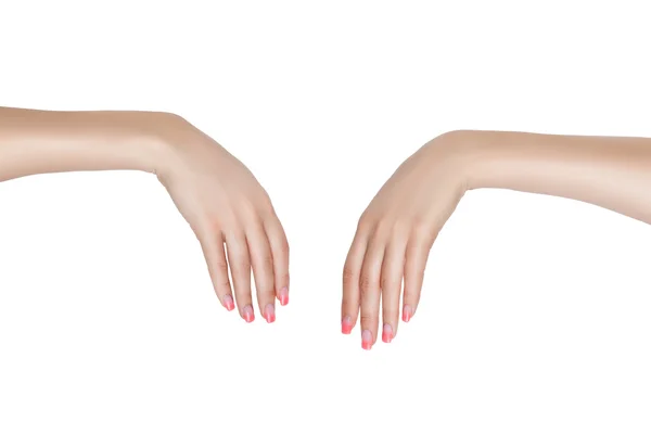 Two female hands. — Stock Photo, Image