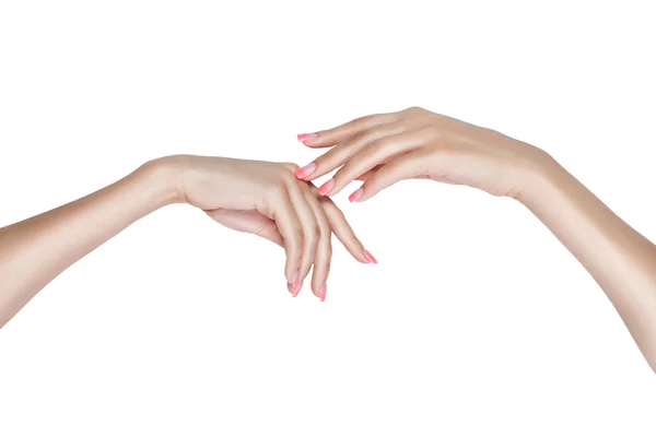 Graceful female hands. — Stock Photo, Image