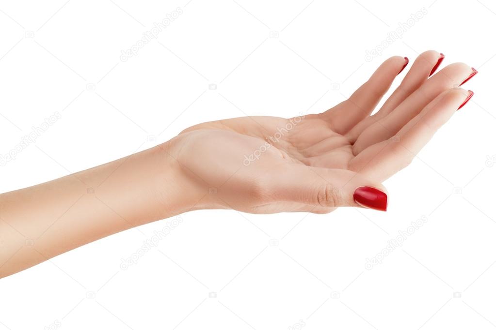 Female hand palm up.