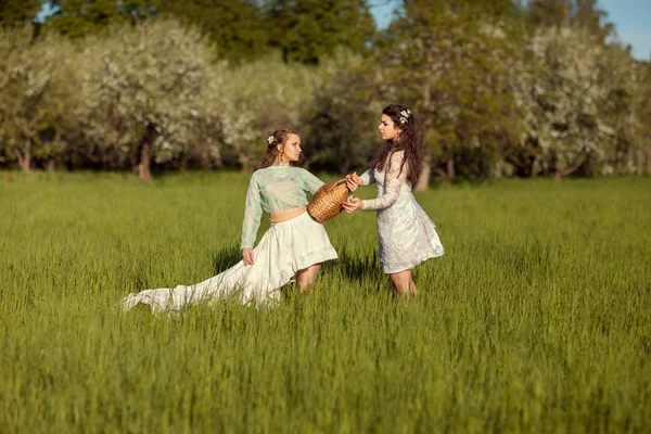 Två kvinnor i fältet. — Stockfoto