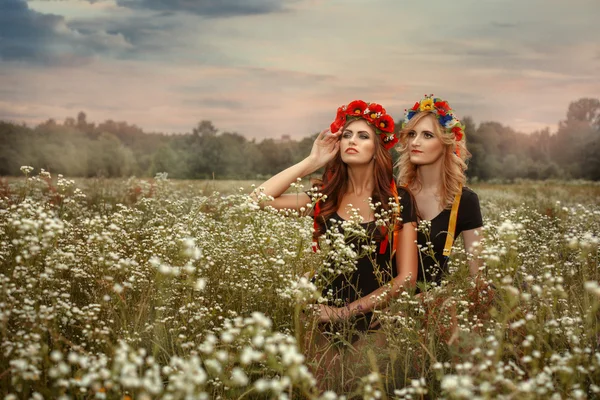 Twee meisjes in kransen. Ze staan het veld. — Stockfoto