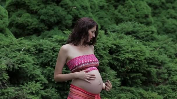 Gravid kvinna pratar i telefon. — Stockvideo