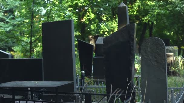 Tra le tombe nel cimitero cammina signora . — Video Stock