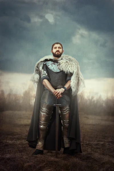Bir alandaki kılıçla Knight.