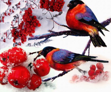 bullfinches karla kaplı dağ kül üzerinde. Kış illüstrasyon