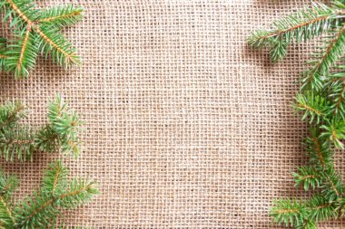 Arkaplanda ağaç dalları ve kopyalama alanı var. Düz yatıyordu