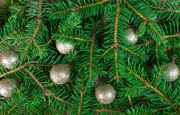 Vánoční Pozadí Zelenými Vánoční Strom Větvičky Stříbrné Koule — Stock fotografie