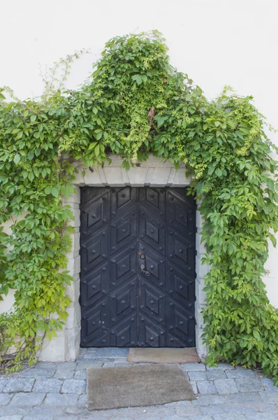 Porta velha na parede exterior coberta hera de um edifício histórico — Fotografia de Stock