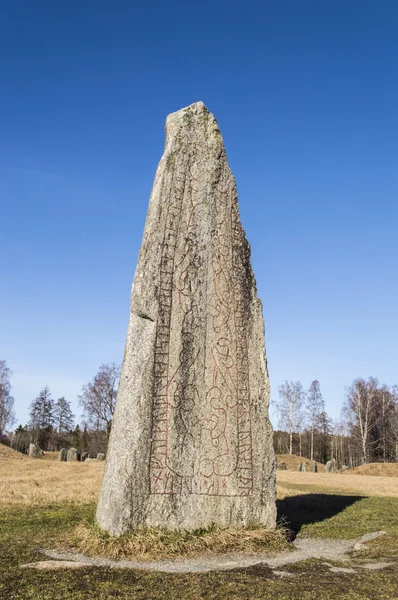 Runestone Telifsiz Stok Fotoğraflar