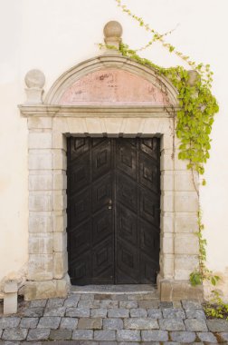 güzel vintage kapı ve sarmaşık, Vasteras, İsveç, Europe 