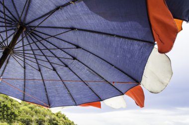 Pattaya City Tayland Ubrella koh Larne Adası tropikal plaj