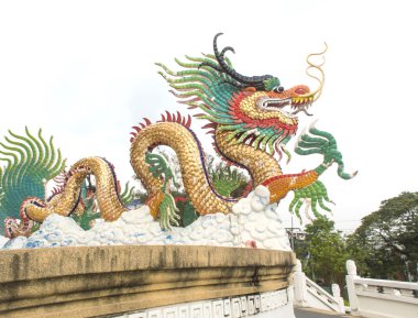 Asya ejderha Milli Parkı