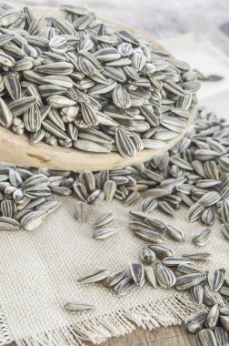 Tahta kaşıkta ayçekirdeği