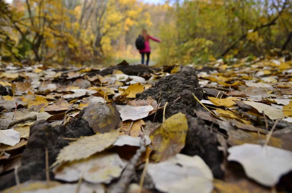 Ormanda insan ve yapraklar