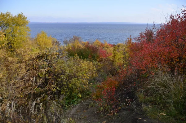 Dağlarda sonbahar manzarası