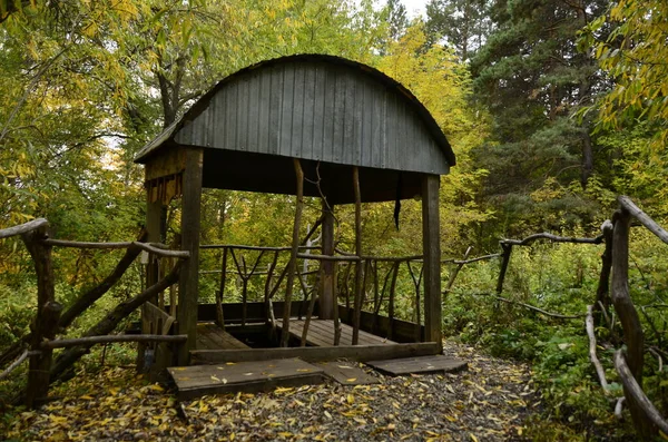 Sonbahar ormanındaki kız.