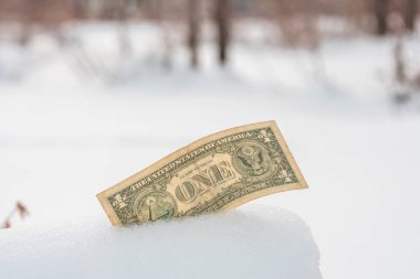 Karda dolar. Donmuş para konsepti. Banka krizi. Ekonomi dondu..