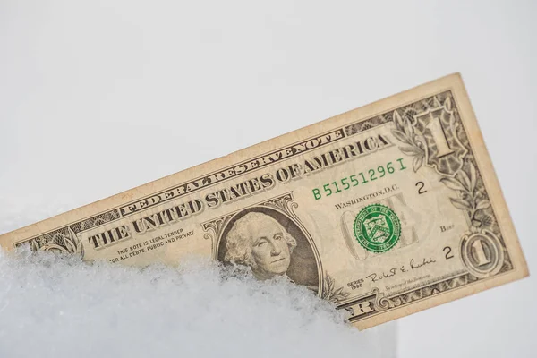 Dollar in the snow. Frozen money concept. Bank crisis. The economy is frozen. Close-up. American money.