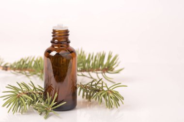 Aromatik yağlı cam şişe ya da iğne filizi serumu. Doğal organik kozmetik kaplıca konsepti.