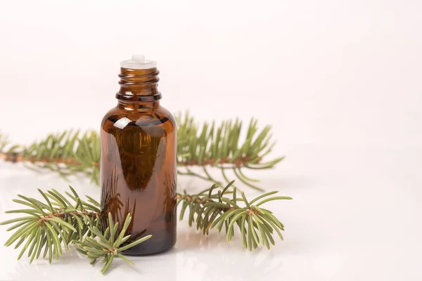 Glass bottle with aromatic oil or serum of a sprig of needles. Natural organic cosmetic spa concept. — Stock Photo, Image