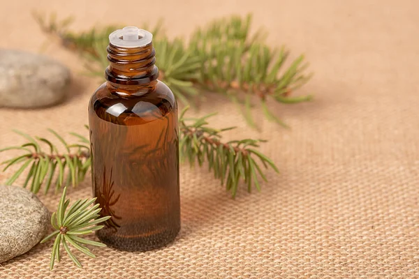 Garrafa de vidro com óleo aromático ou soro em uma pedra e um ramo de agulhas de pinheiro. Conceito de spa cosmético orgânico natural. — Fotografia de Stock