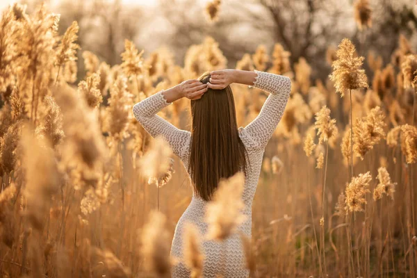 Una chica con un vestido blanco está de pie con la espalda en las cañas. Otoño exterior. —  Fotos de Stock