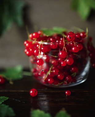 Frenk üzümü, ahşap bir masada böğürtlen, ahşap arka plan.