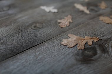 Ahşap arka plan, meşe yaprakları, ahşap doku