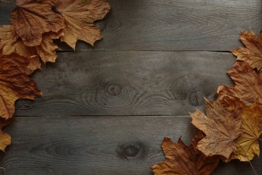 Ahşap arka plan, akçaağaç yaprakları, ahşap doku.