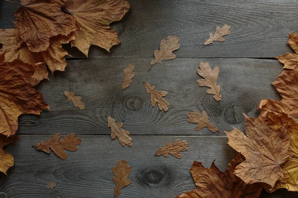 Wooden Background Maple Leaves Wood Texture — Stock Photo, Image