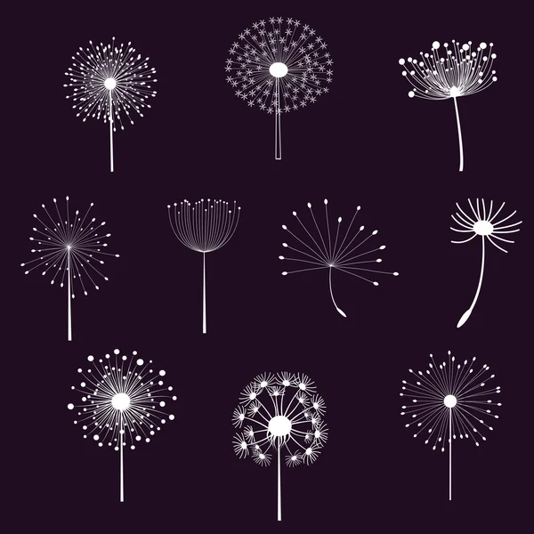 Floral elements with dandelions — Stock Vector