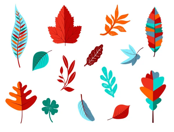 Set Autumn Colored Leaves — Stock Vector