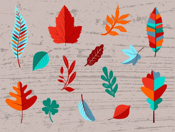 Set Aus Herbstfarbenen Blättern — Stockvektor