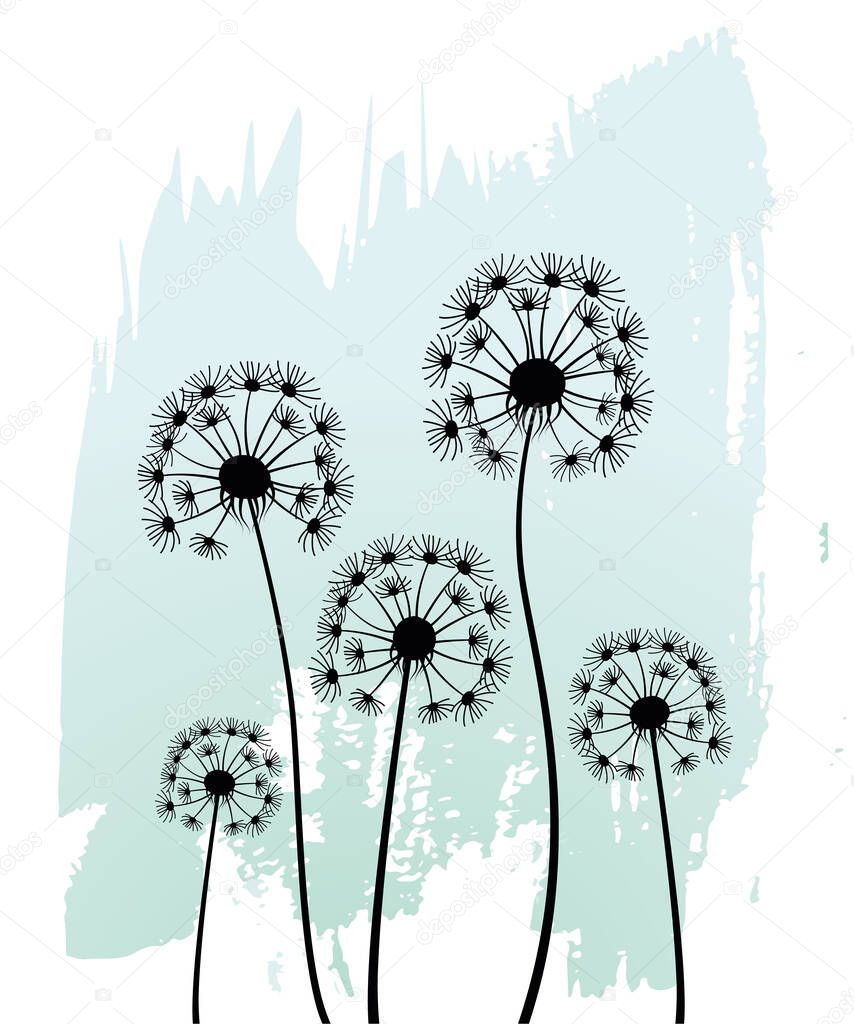 Dandelions on abstract white and blue background