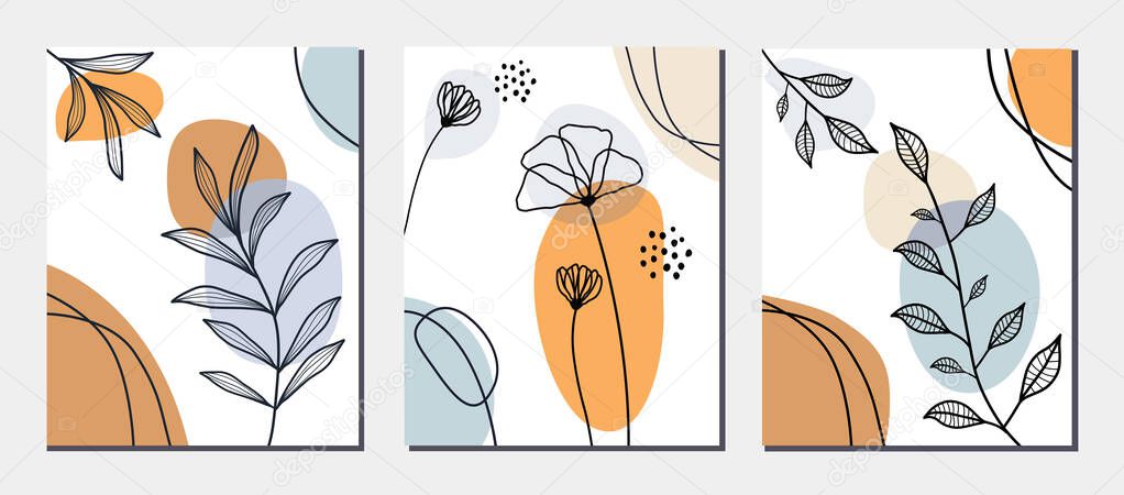 Collection of botanical elements on abstract backgrounds. Vector illustration