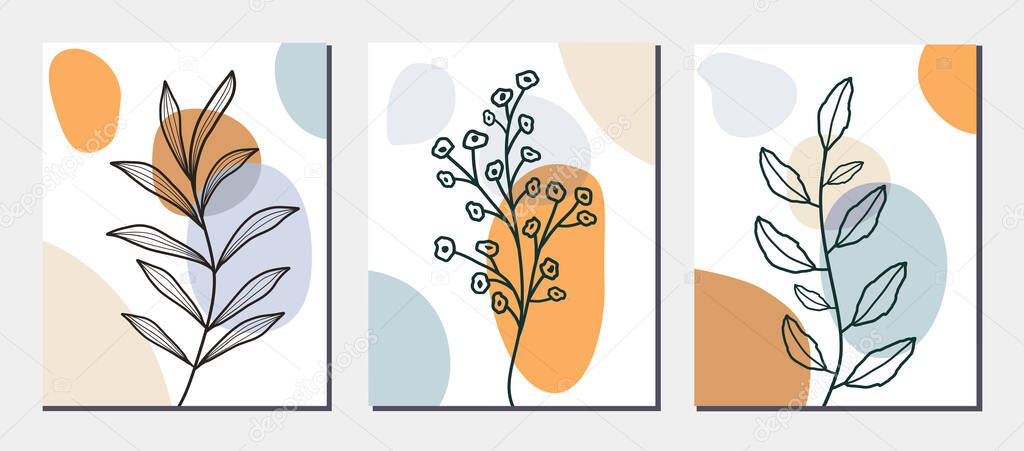 Collection of botanical elements on abstract backgrounds. Vector illustration