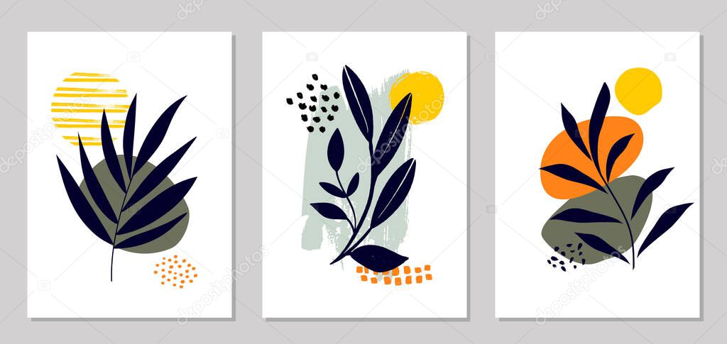 Collection of botanical elements on abstract backgrounds. Vector illustration
