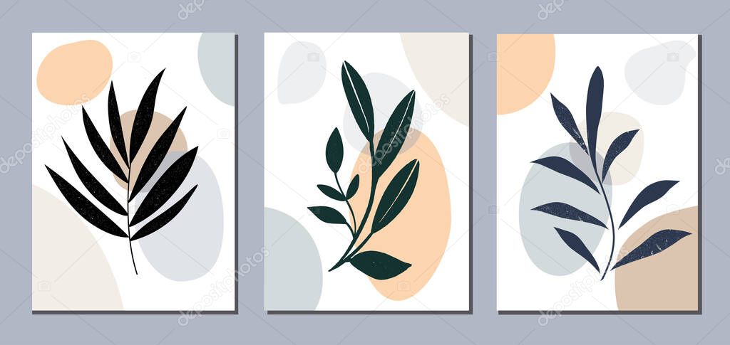 Collection of botanical elements on abstract backgrounds. Vector illustration