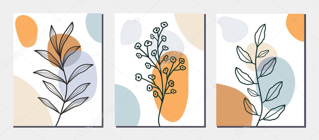 Collection  of botanical art lines on abstract background