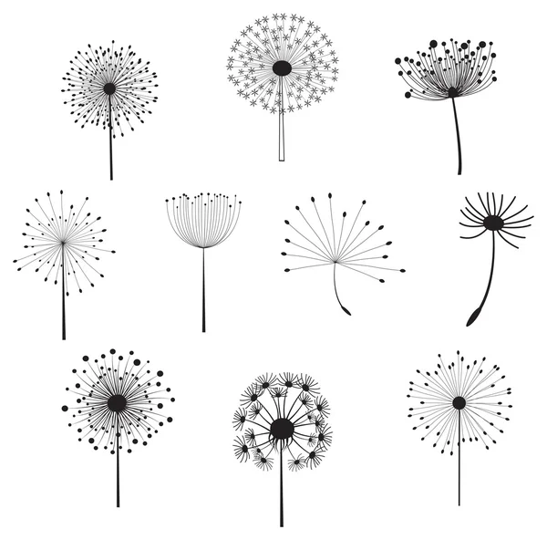 Floral Elements with dandelions — Stock Vector