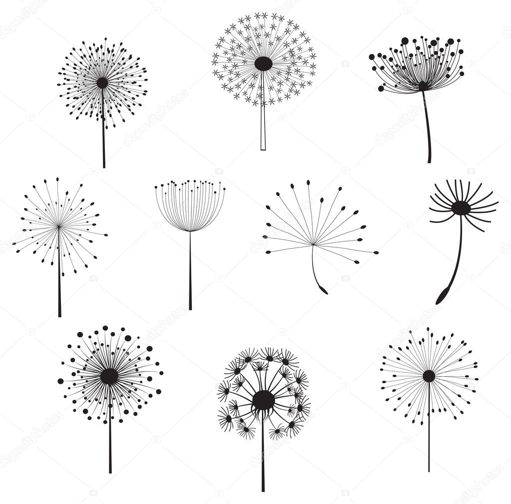 Floral Elements with dandelions