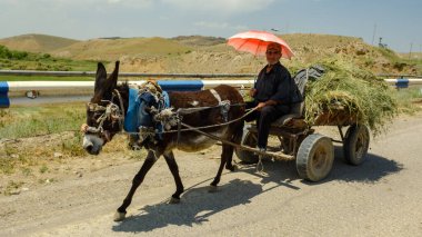 Ermenistan 'da eşek süren göz kamaştırıcı büyükbaba.