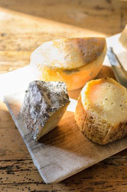 Ahşap rustik tahtası üzerinde taze çiftlik ev yapımı lezzetli peynir seçimi