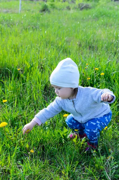 田舎の草原で遊ぶ愛らしい少女 ストックフォト